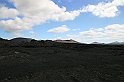 Kanary_2010 062
